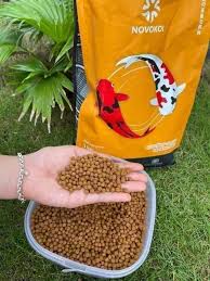 Thức ăn cá Koi Novokoi 10kg