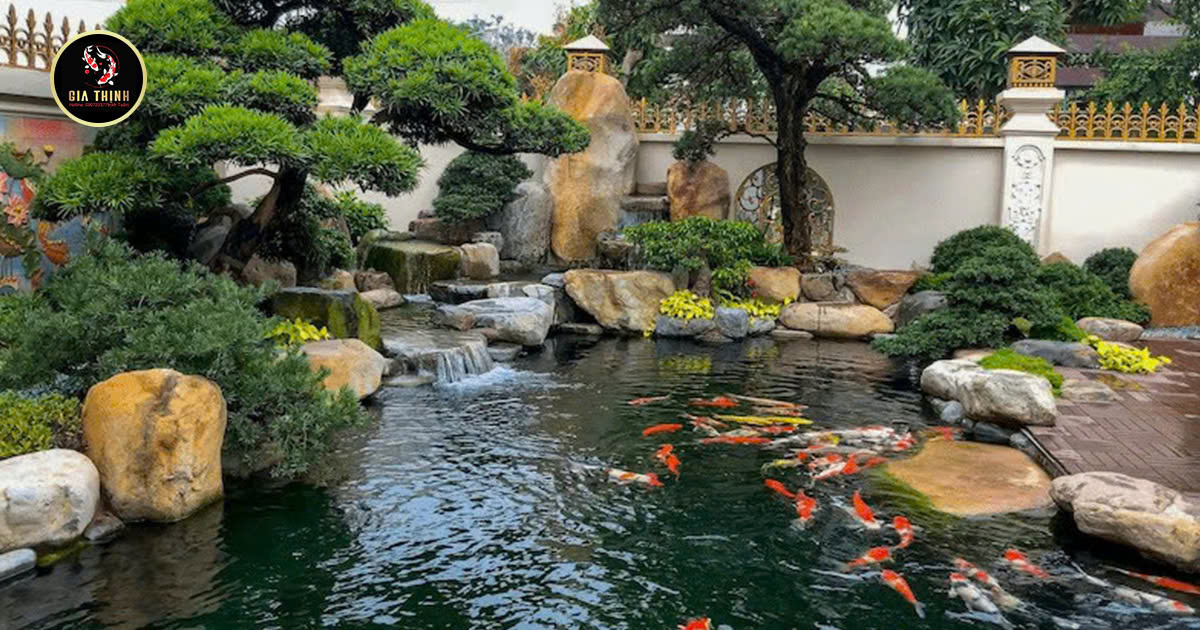 xây dựng hồ cá Koi