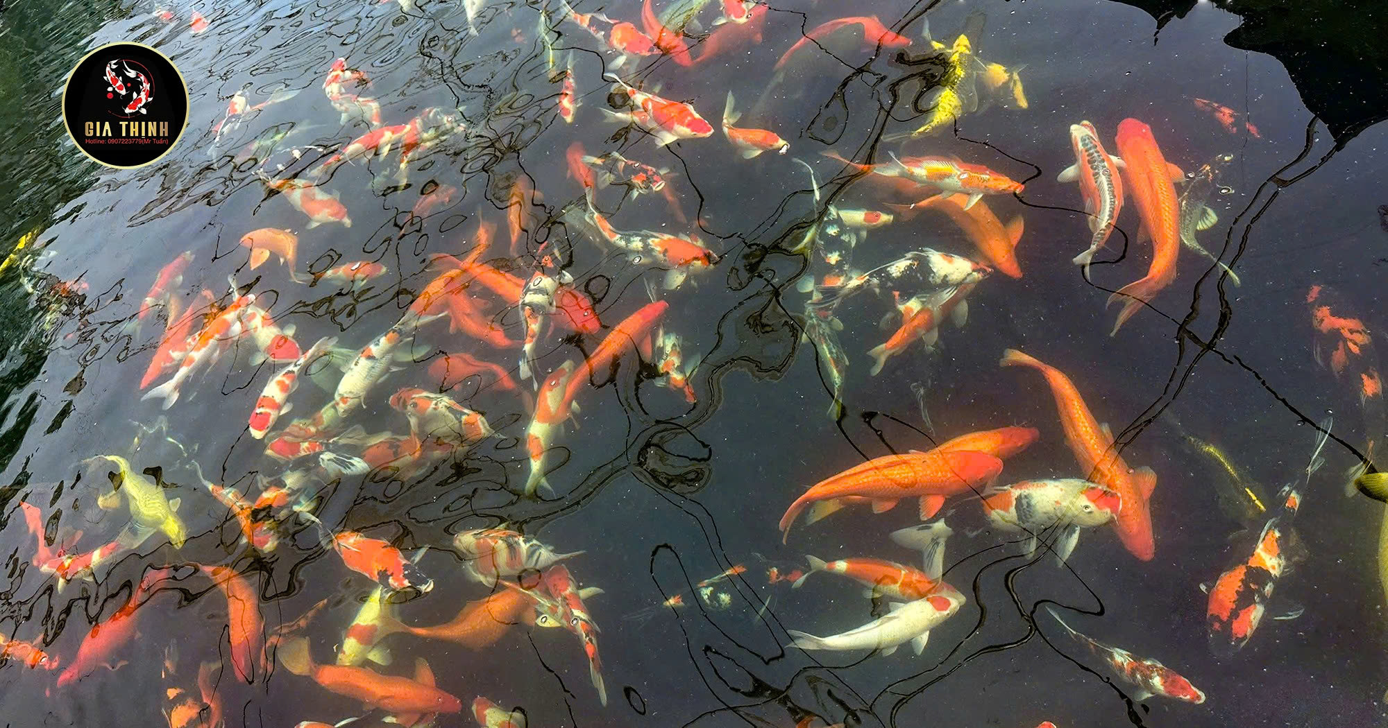 hồ